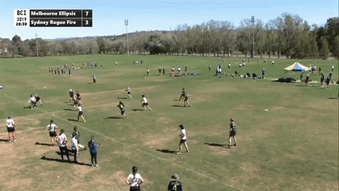 flikulti ultimate frisbee flik GIF