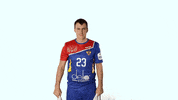 Sport Russia GIF by Rushandball