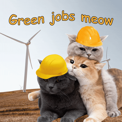Climate Change Cat GIF