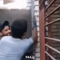 ميمز GIF