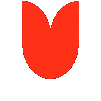 Red Rose Socialism Sticker by Rosa-Luxemburg-Stiftung