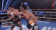 flying top rank GIF by Top Rank Boxing