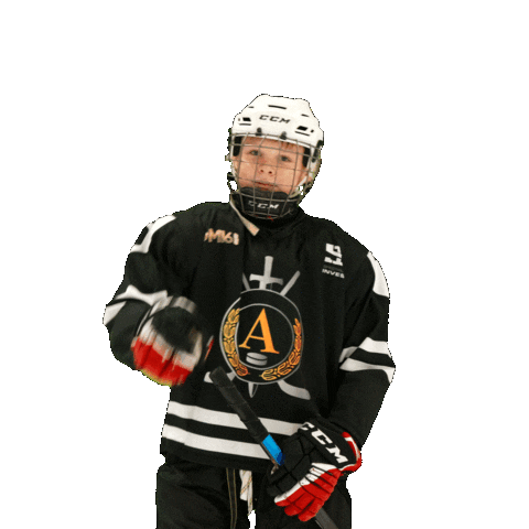 alfahockey giphyupload хоккей хоккеист альфа Sticker