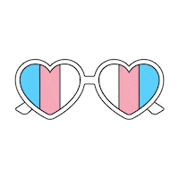 Election 2020 Vote Sticker by Compass