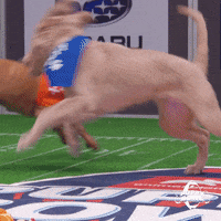 GIF by Puppy Bowl