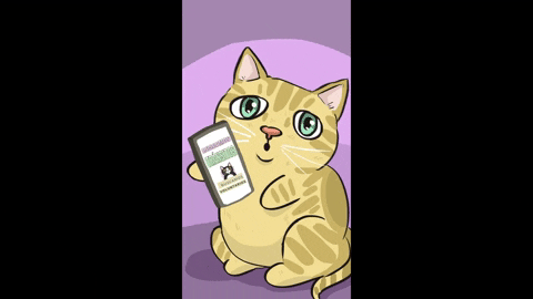 universoanimalmx giphyupload feliscatus GIF