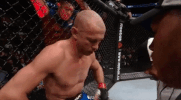 ufc 206 GIF