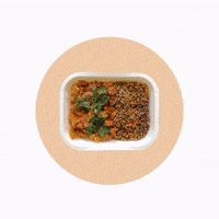 flitefilms meals GIF