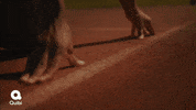 GIF by Blueforest Studios