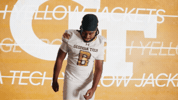 Georgia Tech Football GIF by Georgia Tech Yellow Jackets