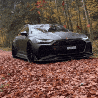 Germany Audi GIF