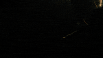 season 5 batman GIF by Fox TV
