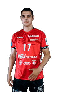 Sport Handball Sticker by Stralsunder HV