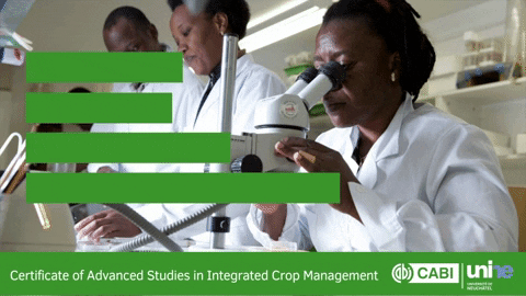cabi_org giphygifmaker icm course GIF