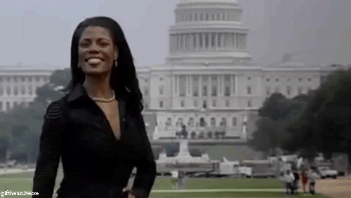 reality tv GIF