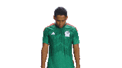 World Cup Football Sticker by MiSelecciónMX
