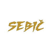 Sebič Sticker by MMAsters League