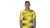 happy borussia dortmund Sticker by Bundesliga