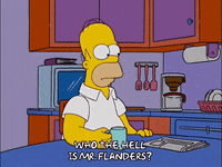 homer simpson GIF