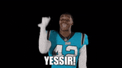Happy North Carolina GIF by Carolina Panthers