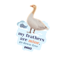 Skins Goose Sticker by PETA