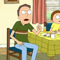 Season 1 Episode 10 GIF by Rick and Morty