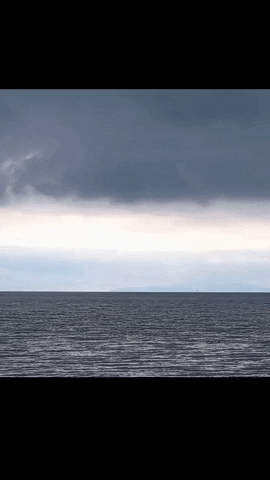 Simongip giphyupload GIF