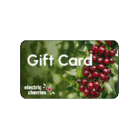 Electric_Cherries giftcard electriccherries electriccherry electriccherrygift Sticker
