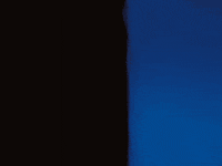 Sub Pop Love GIF by Sub Pop Records