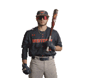 Wcsubaseball Sticker by WCSU