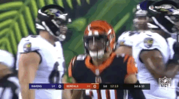 2018 Nfl Football GIF by NFL