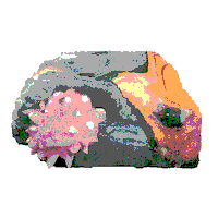 Art Illustration Sticker by Sony Music Australia