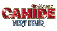 cahidepalazzo cahide alaçatı Sticker
