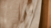 Meindlfashion luxury thumbsup wiesn lederhose GIF