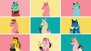phlywheel team family group llama GIF