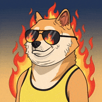 On Fire Smiling GIF by Doge Pound