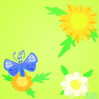 Flying Blue Butterfly GIF by miyrumiyru
