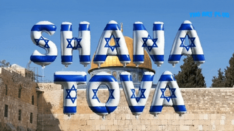 Happy New Year Israel GIF by Marcel Katz Dalí / The Art Plug