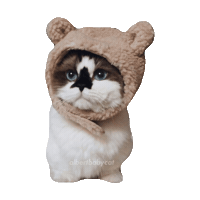 fall winter STICKER by imoji