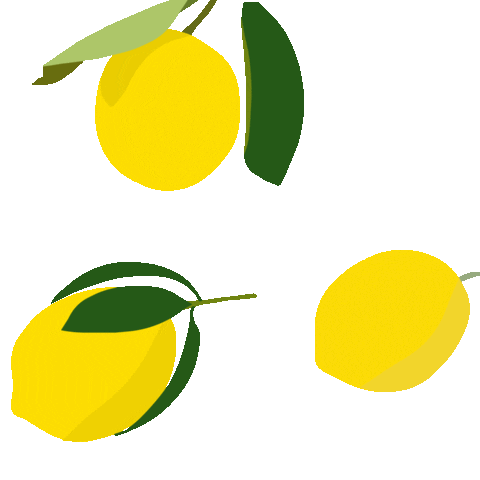 Illustration Fruit Sticker