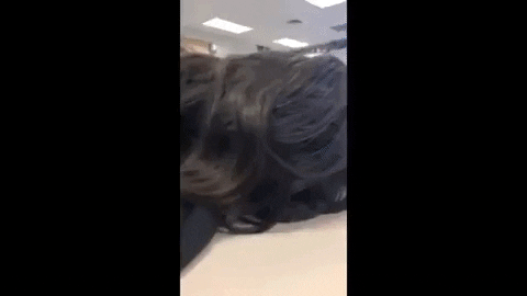 johnforest3985 giphyupload GIF