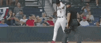 World Series Baseball GIF by NCAA Championships