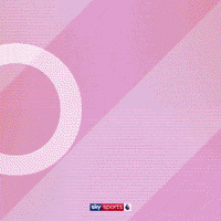 Goal Epl GIF by skysports