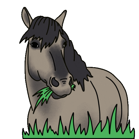 AnMyVisuals giphyupload horse anmyvisuals Sticker