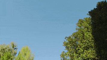 Happy Hip Hop GIF by Kid Quill