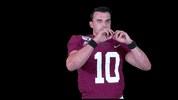 Seanomalley GIF by Lafayette Leopards