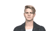 Vincent Gross Schlager Sticker by Ross Antony