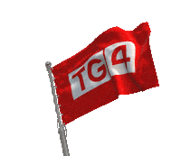 Gaelic Football Flag Sticker by SportTG4