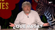 ilustres ignorantes what GIF by Movistar+