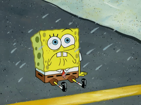 season 4 krusty towers GIF by SpongeBob SquarePants